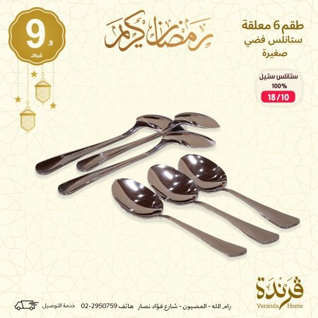 طقم 6 معالق فضي حجم صغير